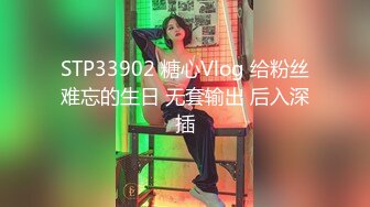 STP33902 糖心Vlog 给粉丝难忘的生日 无套输出 后入深插