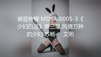 麻豆传媒 MDSR-0005-3《少妇白洁》第三章 风情万种的少妇 苏畅❤️艾熙