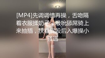 [MP4]先调调情再操，舌吻隔着衣服揉奶子，吸吮舔屌骑上来抽插，扶着屁股后入爆操小骚逼