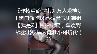 《硬核重磅泄密》万人求档OF黑白通吃极品媚黑气质御姐【我是Z】私拍全套，车震野战露出被黑人健壮小哥玩肏 (3)