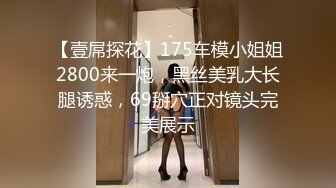 【壹屌探花】175车模小姐姐2800来一炮，黑丝美乳大长腿诱惑，69掰穴正对镜头完美展示