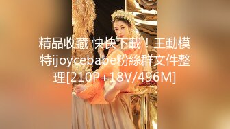 精品收藏 快快下載！王動模特ijoycebabe粉絲群文件整理[210P+18V/496M]