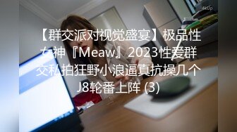 【群交派对视觉盛宴】极品性女神『Meaw』2023性爱群交私拍狂野小浪逼真抗操几个J8轮番上阵 (3)