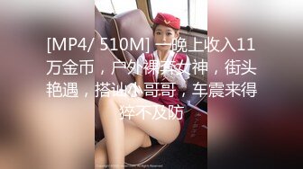 [MP4/ 510M] 一晚上收入11万金币，户外裸奔女神，街头艳遇，搭讪小哥哥，车震来得猝不及防