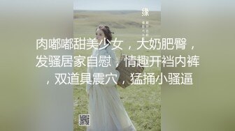 肉嘟嘟甜美少女，大奶肥臀，发骚居家自慰，情趣开裆内裤，双道具震穴，猛捅小骚逼