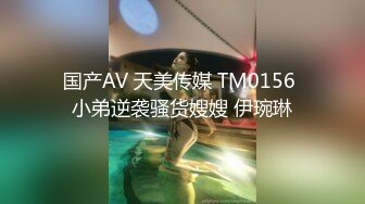 国产AV 天美传媒 TM0156 小弟逆袭骚货嫂嫂 伊琬琳