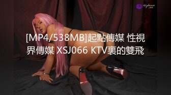 [MP4/538MB]起點傳媒 性視界傳媒 XSJ066 KTV裏的雙飛