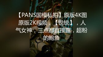 【PANS国模私拍】原版4K图 原版2K视频，【锐锐】，人气女神，三点都直接露，超粉的鲍鱼