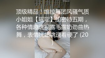 顶级精品！维拉舞团风骚气质小姐姐【瑶瑶】加密特五期，各种情趣透视露毛露奶劲曲热舞，表情抚媚挑逗看硬了 (20)