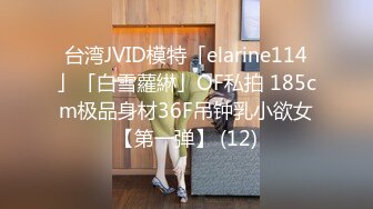 台湾JVID模特「elarine114」「白雪蘿綝」OF私拍 185cm极品身材36F吊钟乳小欲女【第一弹】 (12)