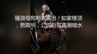 骚浪母狗刺激露出！如家楼顶，男厕所，公园自慰高潮喷水…