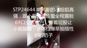 STP24644 哺乳期的小姐姐真骚，跟小哥激情性爱全程露脸69口交大鸡巴，撅着屁股让小哥舔逼，多体位爆草抽插性感的奶子